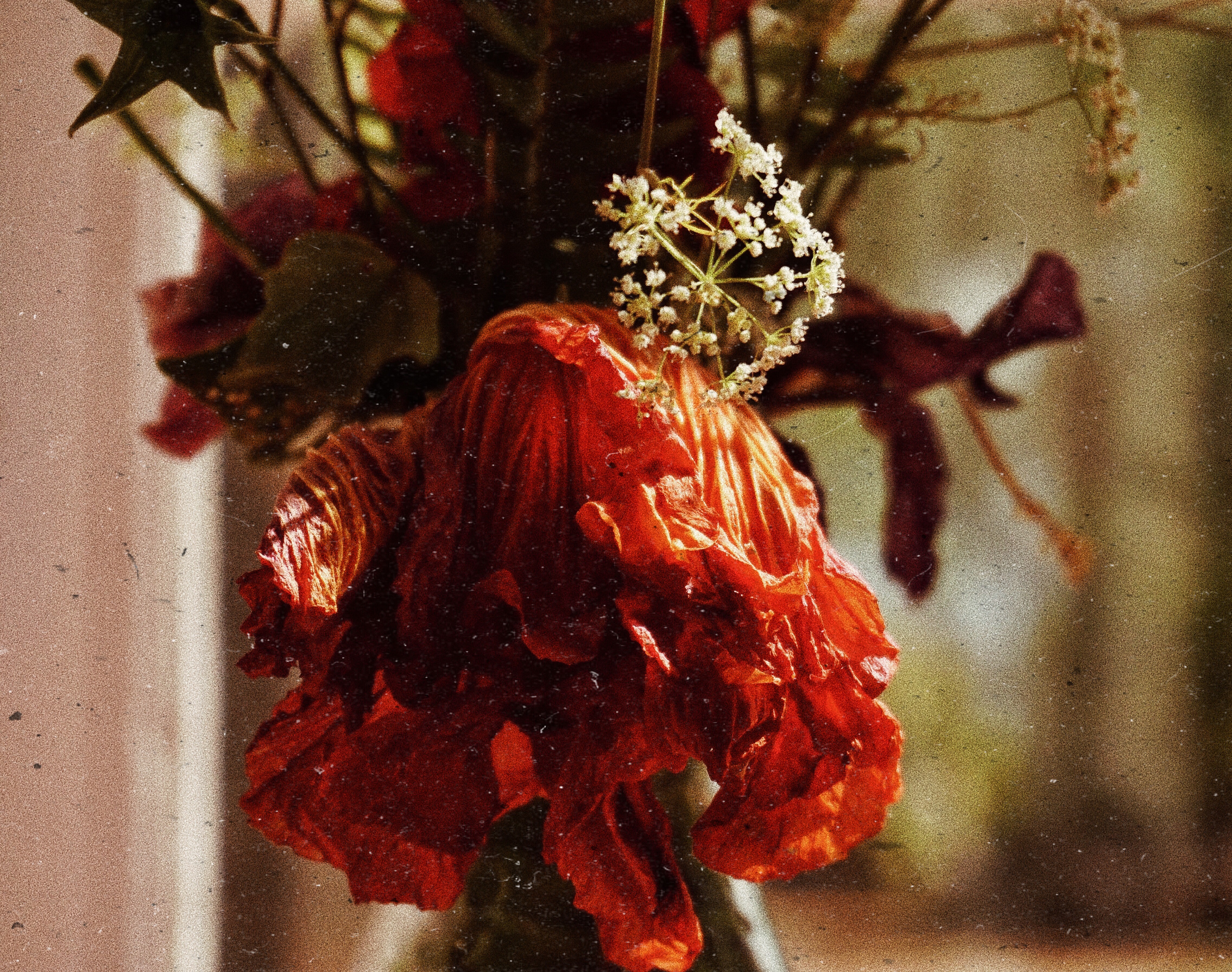 Thoughts on Autumn